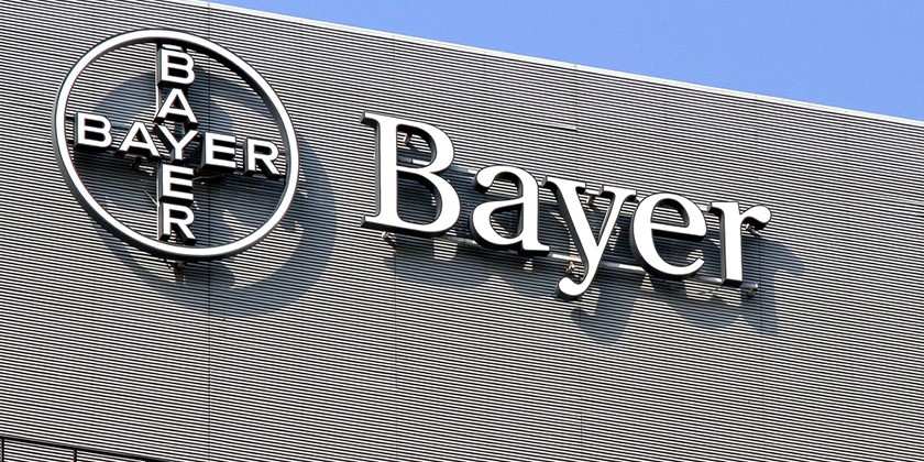    bayer     