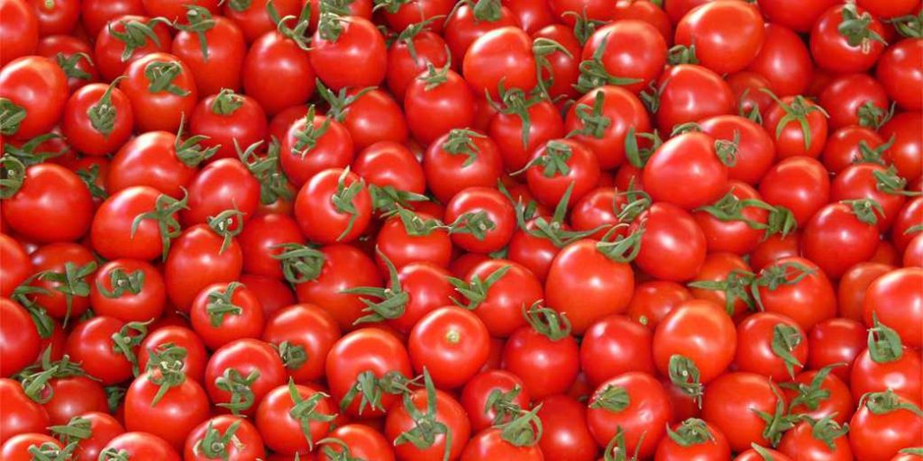 Цены на помидоры стремительно растут