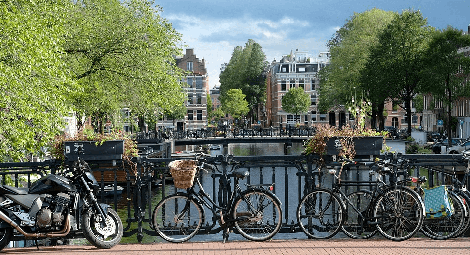 Голландский опыт: велопробегом по пробкам