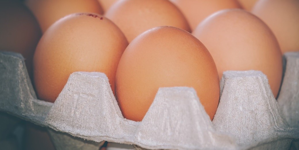 Яйца под частной маркой: упаковка новая, цена — прежняя