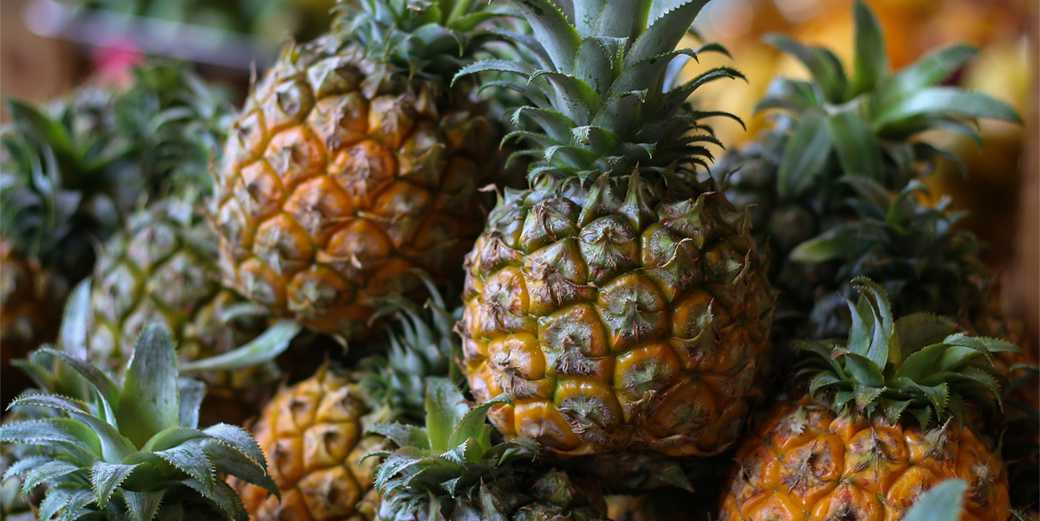 Реформа импорта: министерство сельского хозяйства начинает с ананасов