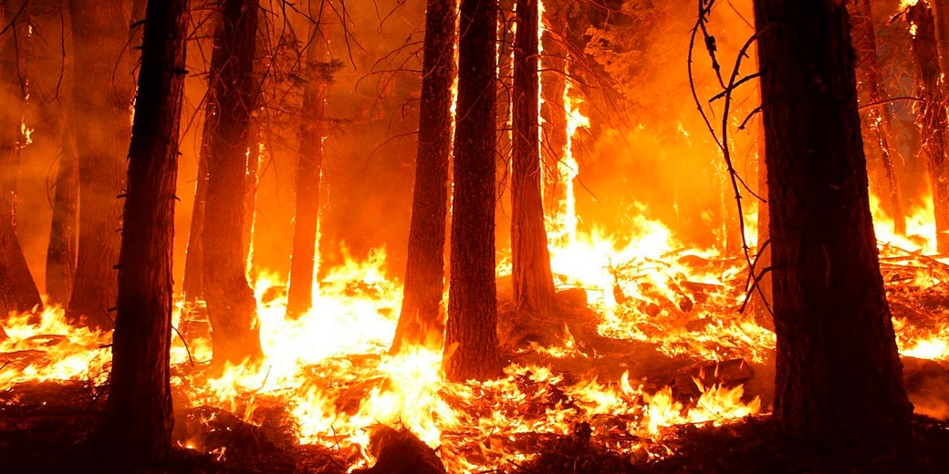 В Малайзии бушуют сильные лесные пожары
