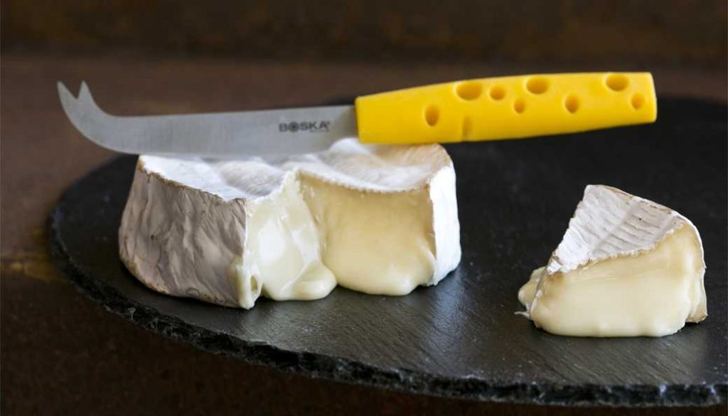 Израильские кибуцники будут производить заменители сыра для веганов в Австралии