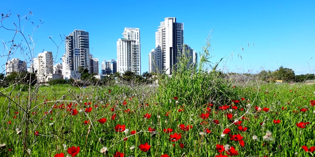 Кто покупает квартиры в Тель-Авиве?