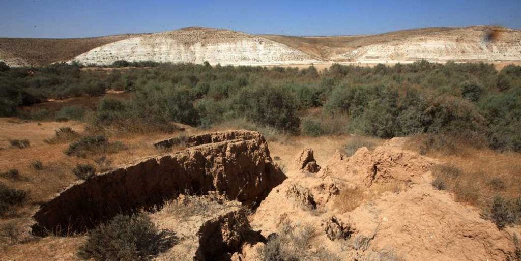 В Израиле появилось рекордное число новых заповедников и национальных парков