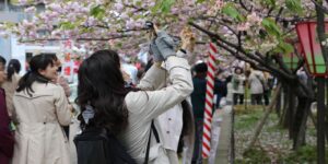 Sake Viva!: молодежь в Японии перестала употреблять алкоголь, и это тревожит налоговиков